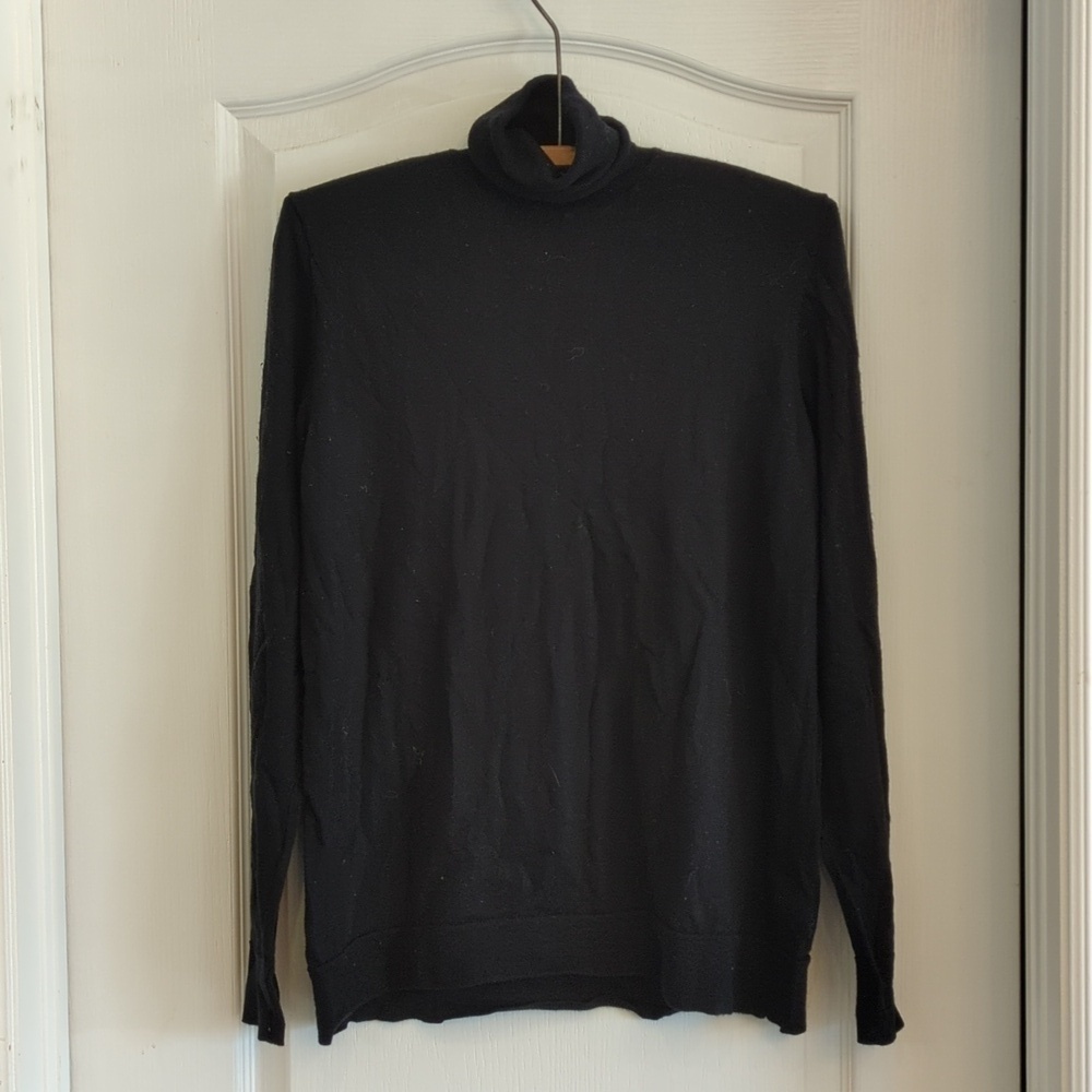 Marino Wool Turtleneck